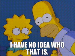 Homer Simpson Asking Who Is That GIF