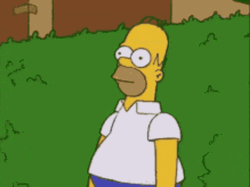 Homer Simpson Being Weirdo GIF