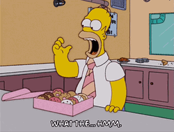  Homer Simpson Binge Eating Donut What The Hmm GIF