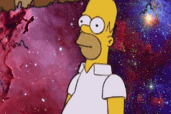 Homer Simpson Bush GIF