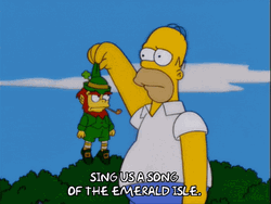 Homer Simpson Caught A Leprechaun GIF