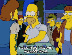 Homer Simpson Gambling The Simpsons GIF
