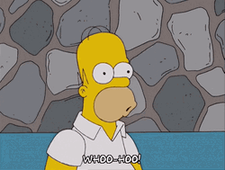 Homer Simpson Happy Happy Joy Joy GIF