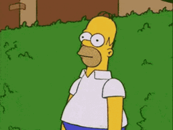 Homer Simpson Hiding On Bush Walk Of Shame GIF