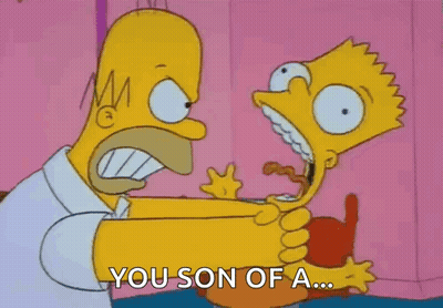 Homer Simpson Holding Bart Simpson Saying You Son Of A GIF