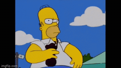 Homer Simpson Holding Black Object
