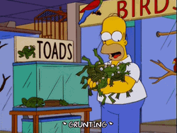 Homer Simpson Holding Hypnotoad Toys GIF