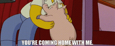 Homer Simpson Holding Pig Saying You're Coming Home With Me GIF