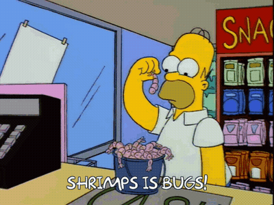 Homer Simpson Holding Shrimp Saying Shrimps Is Bugs GIF