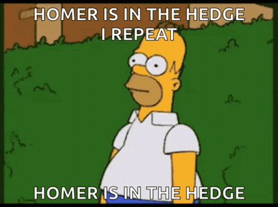 Homer Simpson In The Hedge GIF