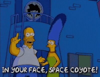 Homer Simpson In Your Face Space Coyote GIF