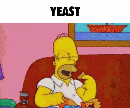 Homer Simpson Is Sitting On A Couch Eating Chips With The Word Yeast Below Him GIF