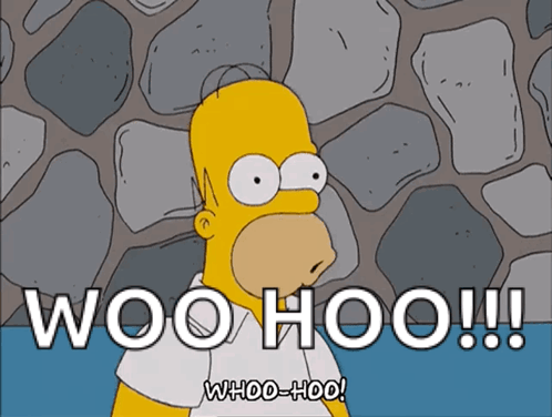 Homer Simpson Is Standing In Front Of A Stone Wall And Says Woohoo !! GIF