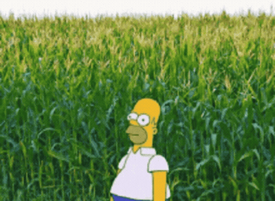 Homer Simpson Is Standing In The Middle Of A Corn Field . GIF