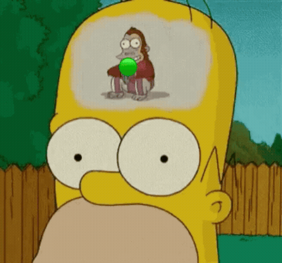 Homer Simpson Monkey In Mind GIF