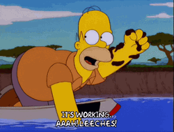 Homer Simpson River Leeches GIF