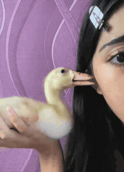 Homer Simpson Saying Love You Long Time GIF