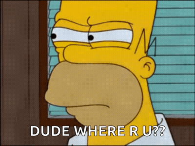 Homer Simpson Says Dude Where R U GIF