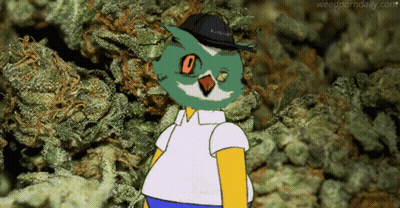 Homer Simpson Standing In Front Of Marijuana GIF
