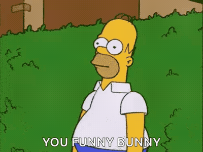 Homer Simpson Standing In Grassy Field Saying You Funny Bunny GIF