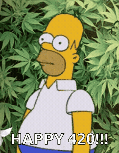 Homer Simpson Standing With Marijuana Leaves Happy 420 GIF