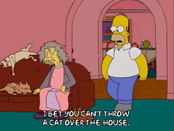 Homer Simpson Talking To Cat Lady GIF