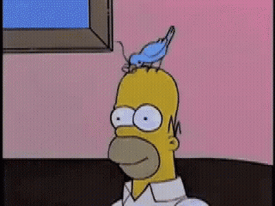 Homer Simpson With Blue Bird On Head GIF