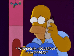 Homer Simpsons Scared Hollering GIF