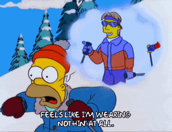 Homer Simpsons Scared Skiing GIF