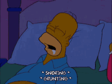 Homer Simpsons Snoring Beside Marge GIF