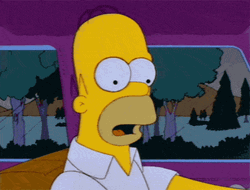 Homer The Simpsons Face Melt GIF