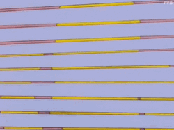 Homer Watching Behind Window GIF