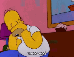Homer Woohoo Celebrating In His Seat GIF