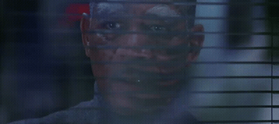 Honey Badger And Snake With Meme Pool Logo GIF