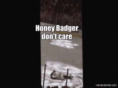 Honey Badger Swimming Saying Honey Badger Don't Care GIF