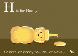 Honey Bee Meme GIF