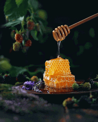 Honey On A Honeycomb Getting Scooped GIF