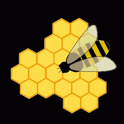 Honeycomb Cartoon