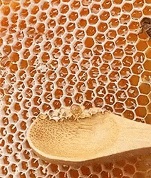 Honeycomb Scoop