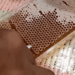 Honeycomb Slice