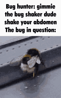 Hood Irony GIF