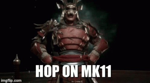 Hop On Mk11 GIF