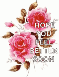 Hope For A Speedy Recovery Roses GIF