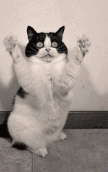 Hope You Feel Better Soon Come Here GIF