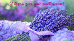 Hope You Feel Better Soon Lavender GIF