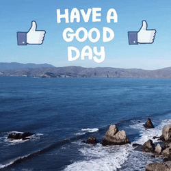 Hope You're Having A Good Day Beach View GIF