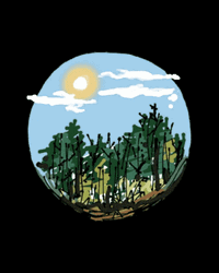 Hope You're Having A Good Day Pine Forest Sticker GIF