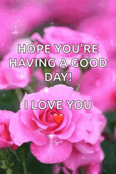 Hope You're Having A Good Day Sparkling Pink Rose GIF