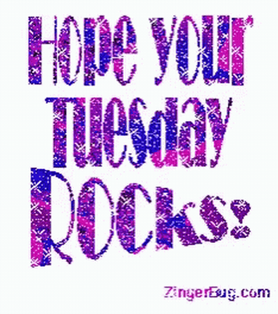 Hope Your Tuesday Rocks Tuesday GIF