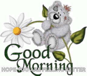 Hope Youre Feeling Better Bear Hugging A Flower GIF